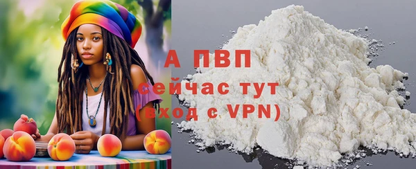 эйфоретик Баксан