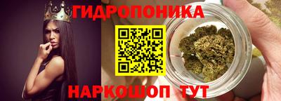 круглые Кингисепп