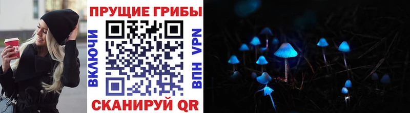где купить наркоту  Корсаков  Галлюциногенные грибы мухоморы 