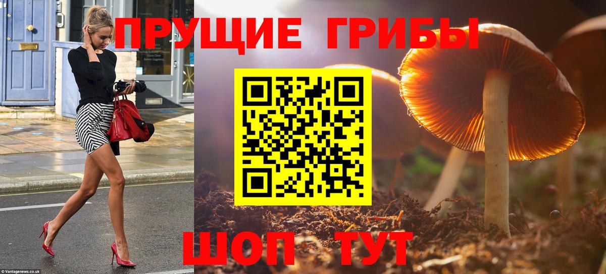 Псилоцибиновые грибы MAGIC MUSHROOMS Корсаков