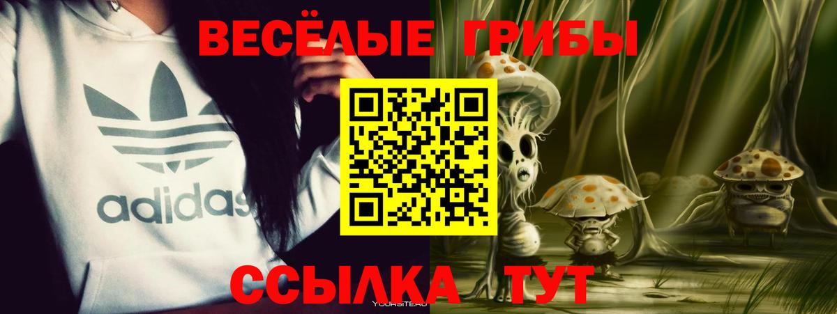 Галлюциногенные грибы ЛСД  что такое   Корсаков  Вход с VPN 